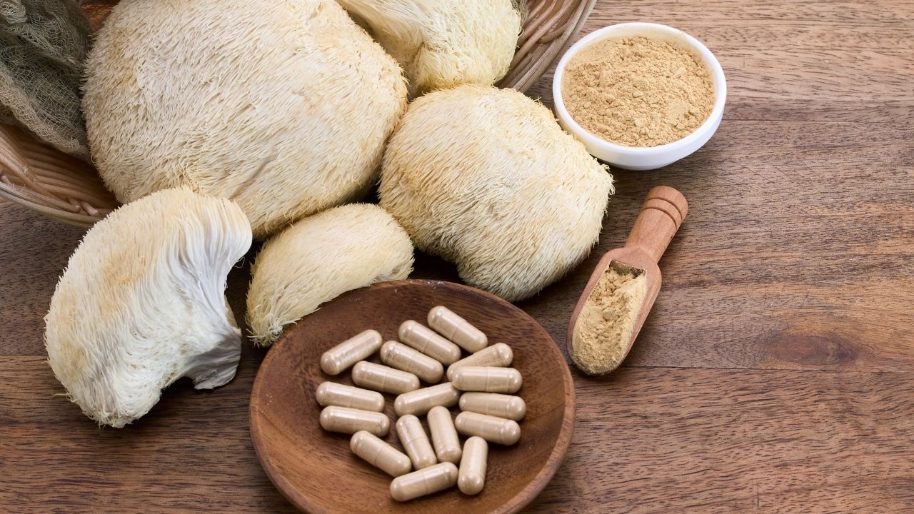 Juba de Leão (Lion’s Mane): Benefícios Científicos e Como Potencializar o Cérebro e Corpo